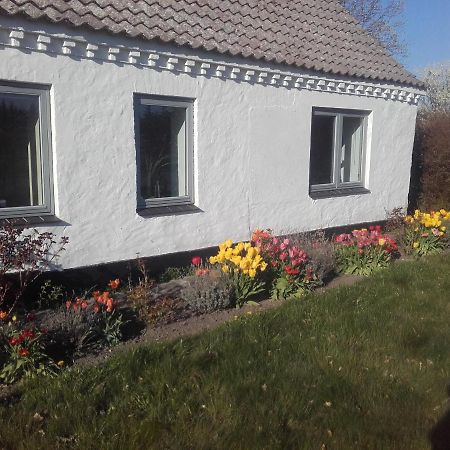 Lindholt Bed & Breakfast Fjerritslev ภายนอก รูปภาพ